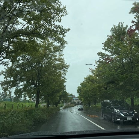 コストコへ向かうも渋滞で即決Uターンの画像
