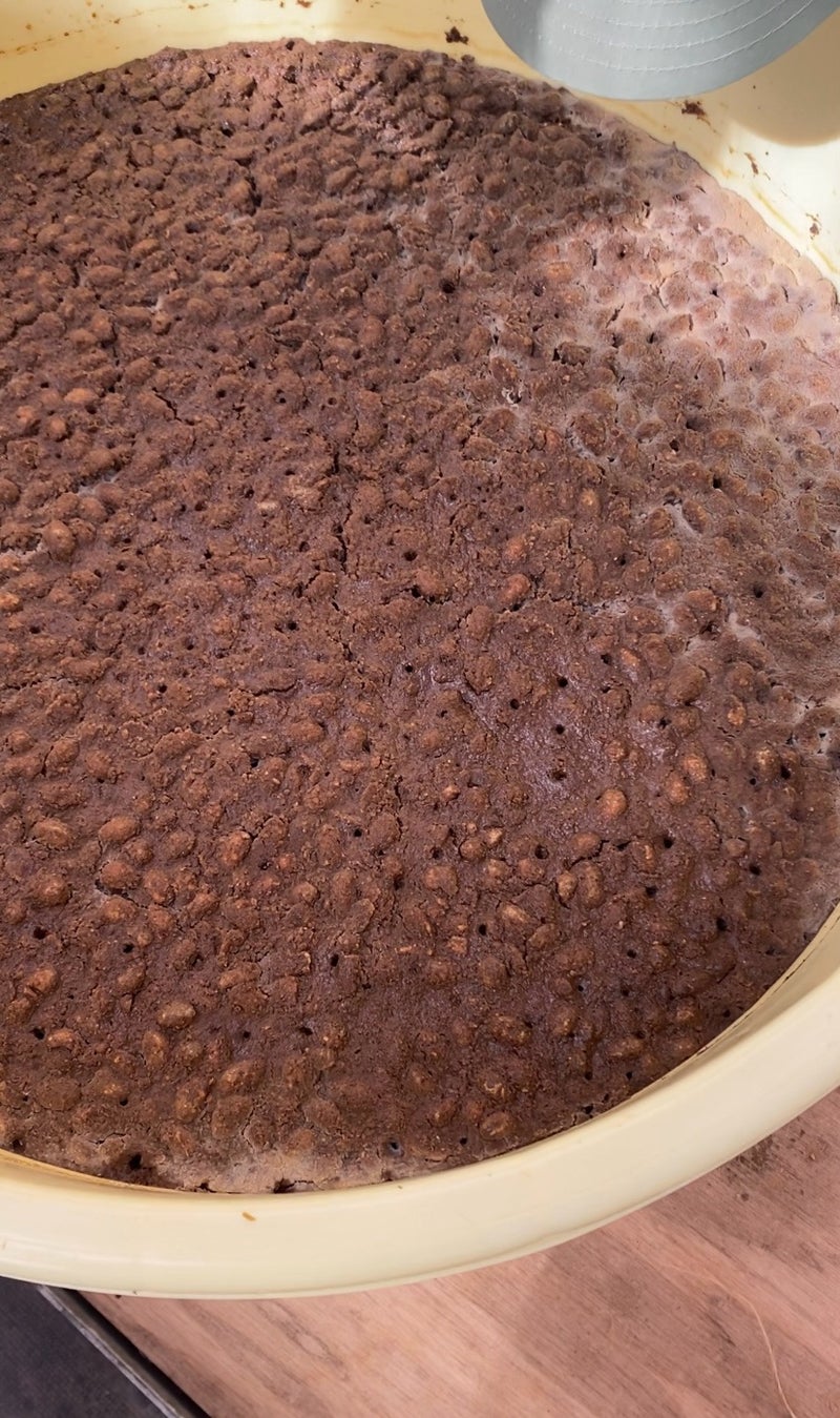 我ながら美味しすぎた鴨汁の冷麦の画像