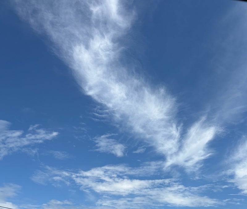晴れの日に観たい中秋の名月の画像