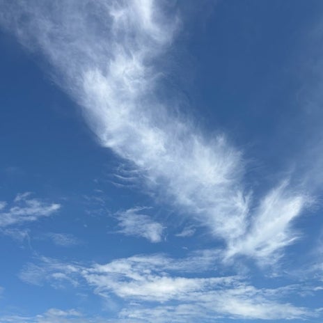 晴れの日に観たい中秋の名月の画像