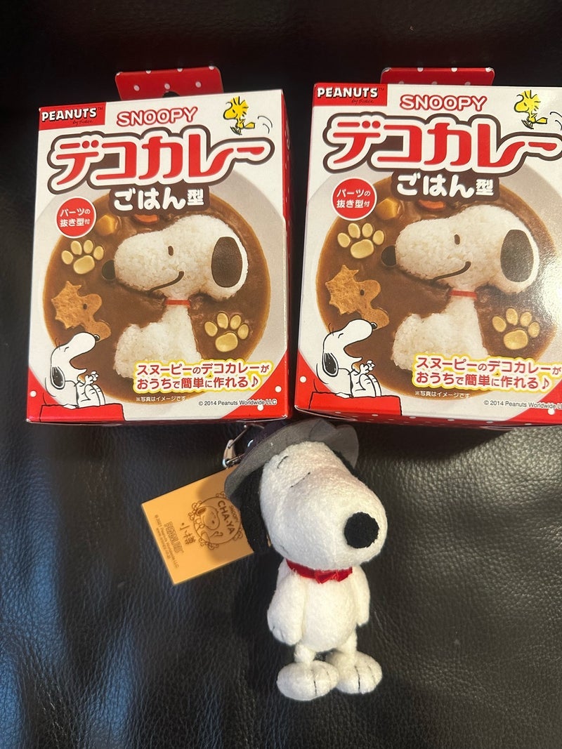 迷いに迷って買った限定のお土産の画像