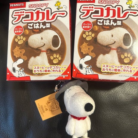 迷いに迷って買った限定のお土産の画像