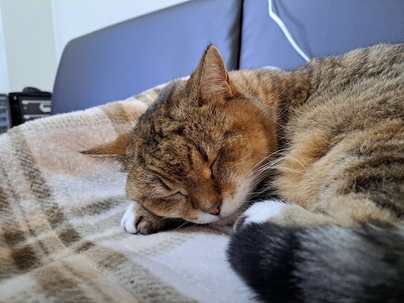 拍子抜けするほど優しかった税務署の画像