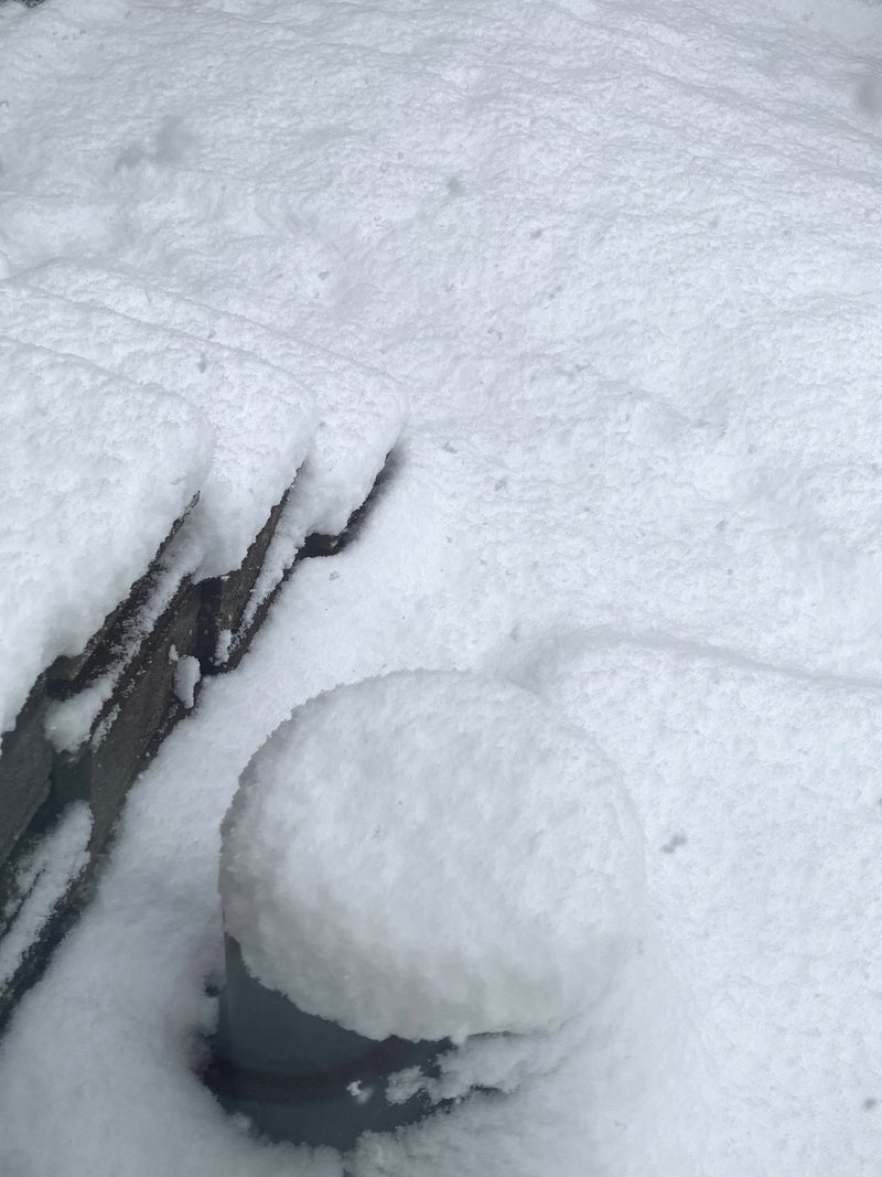 お出かけした長男が心配な吹雪の画像