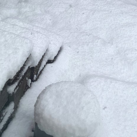 お出かけした長男が心配な吹雪の画像