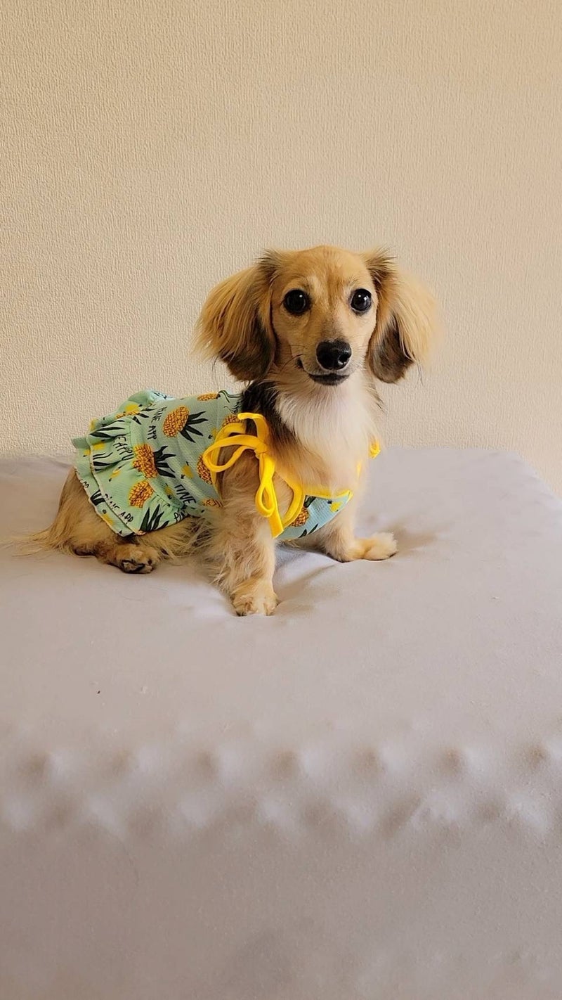 つちやかおり 1才の誕生日をお祝いの画像