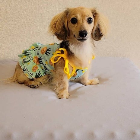 つちやかおり 1才の誕生日をお祝いの画像