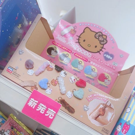 娘が欲しがった1個700円の品の画像