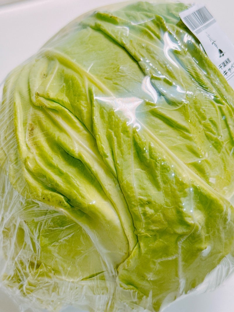 渡辺美奈代 安いキャベツでパスタの画像