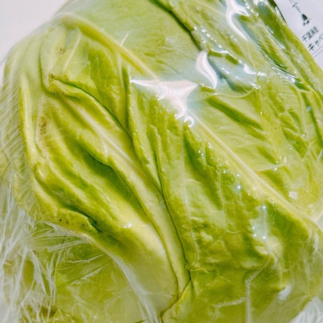 渡辺美奈代 安いキャベツでパスタの画像