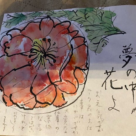 義理堅い90歳の叔母からのお土産の画像