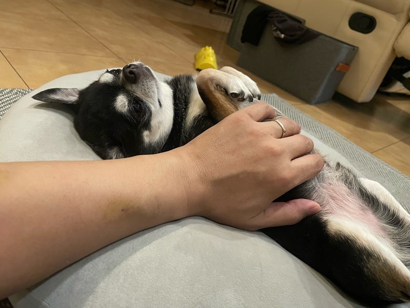 不眠と闘った後の久しぶりの熟睡の画像