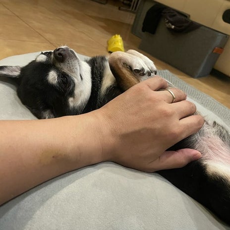 不眠と闘った後の久しぶりの熟睡の画像