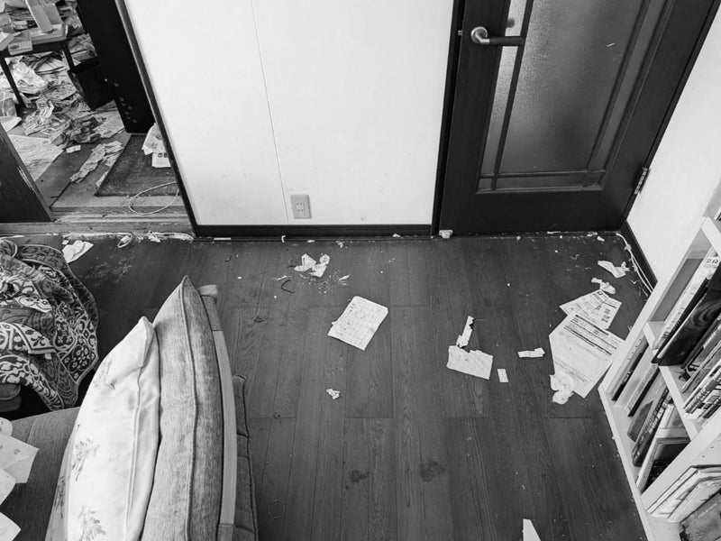 汚い家を放置して平気な義母の画像