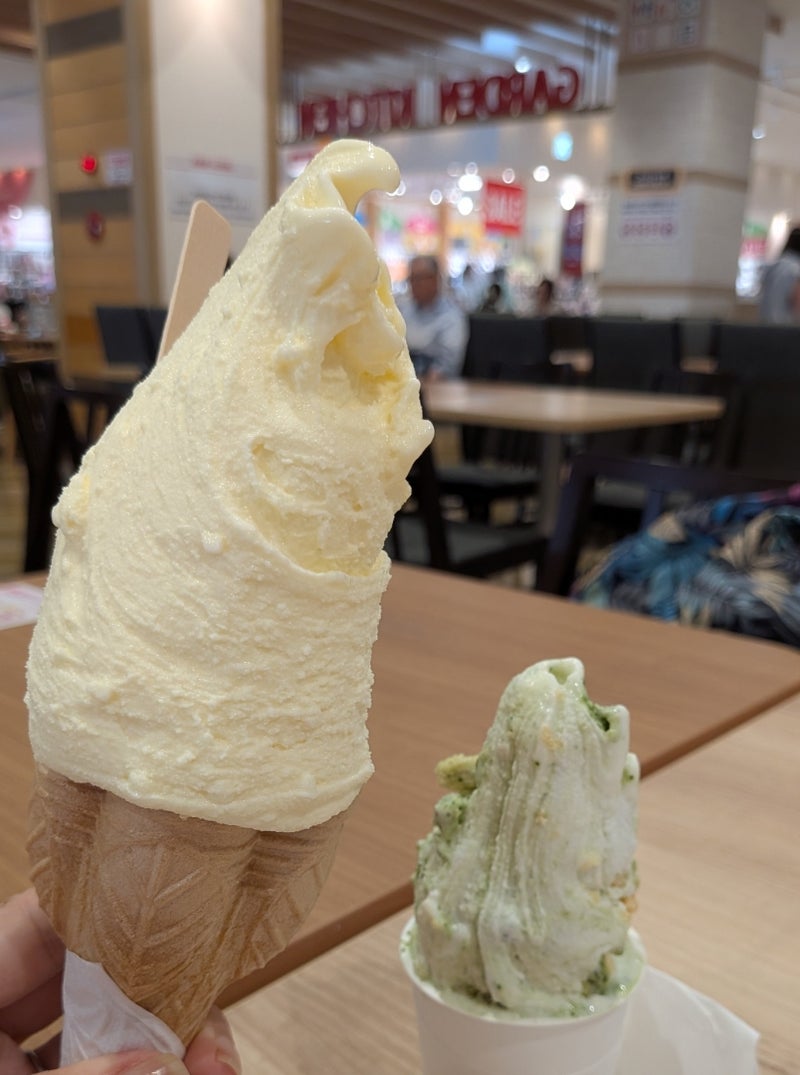 娘と孫の修学旅行の準備の買物の画像