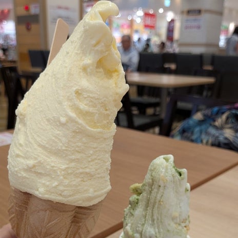 娘と孫の修学旅行の準備の買物の画像