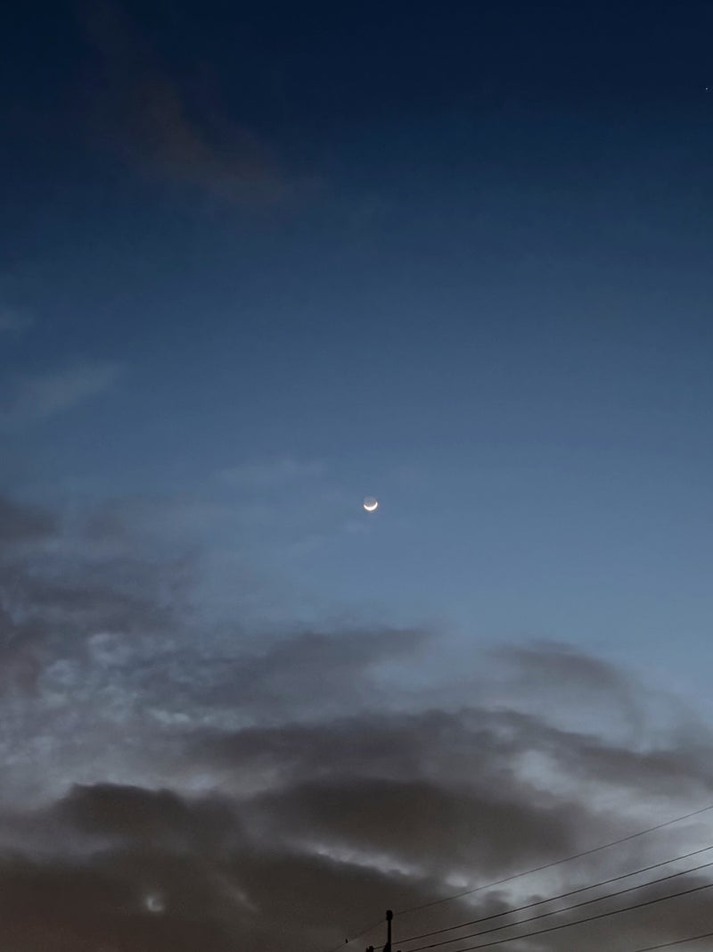 古村比呂 美味しかった筍の天ぷらの画像