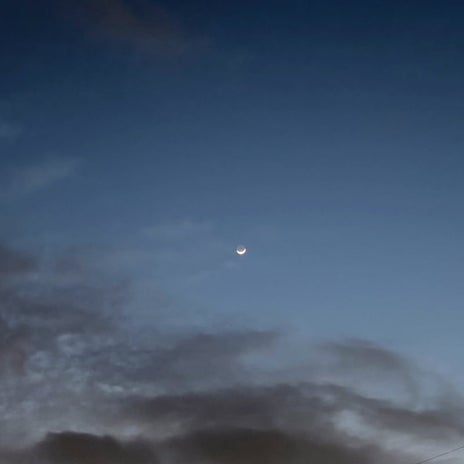 古村比呂 美味しかった筍の天ぷらの画像