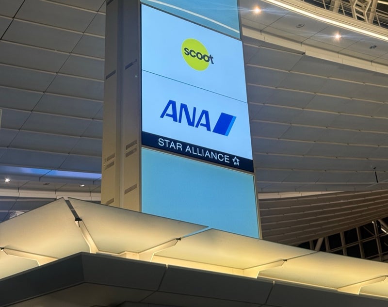 元気な子供たちとの真夜中の出発の画像