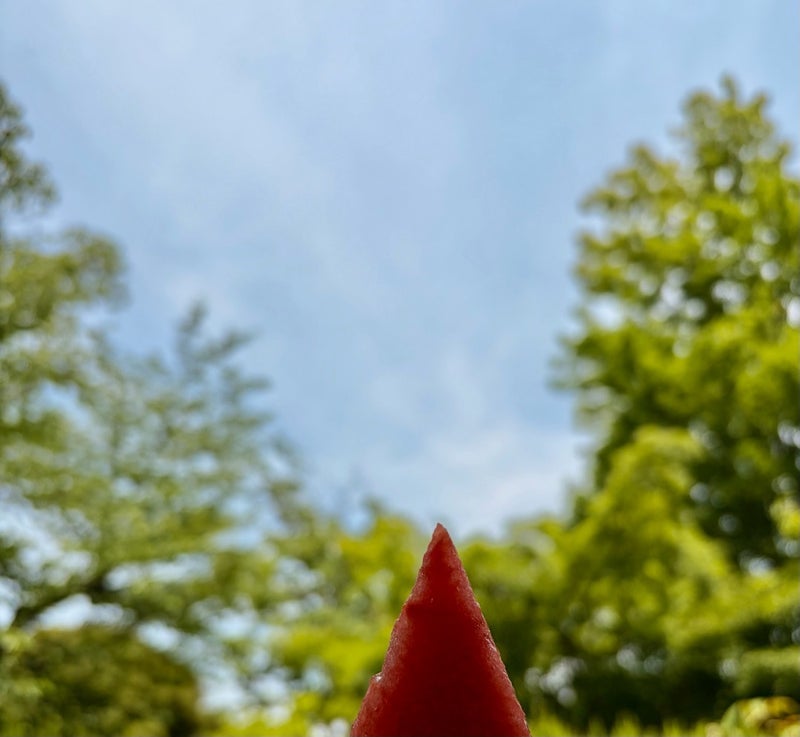 古村比呂 甘い今年初の赤富士の画像