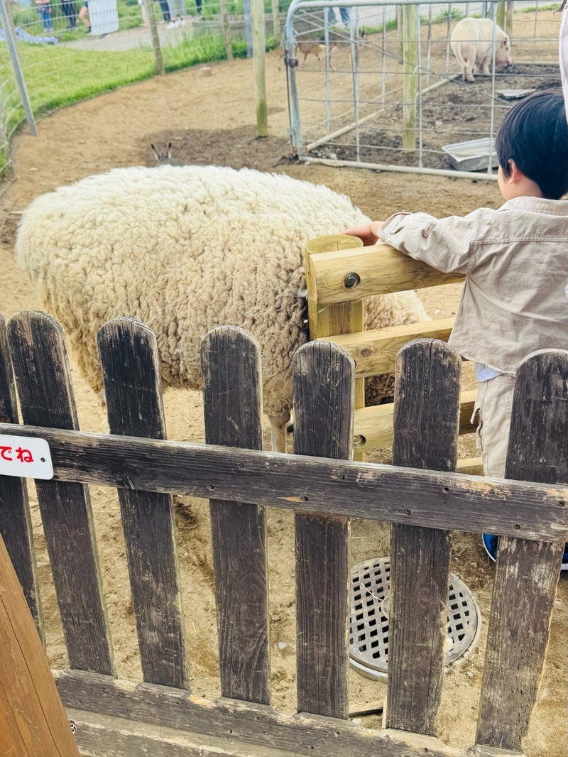 だいた 息子の言葉で初の牧場への画像