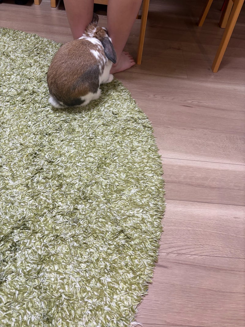 昨日1日中学校だった子達の事の画像