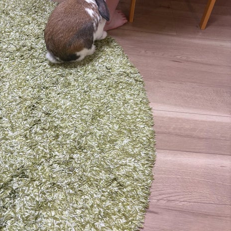 昨日1日中学校だった子達の事の画像