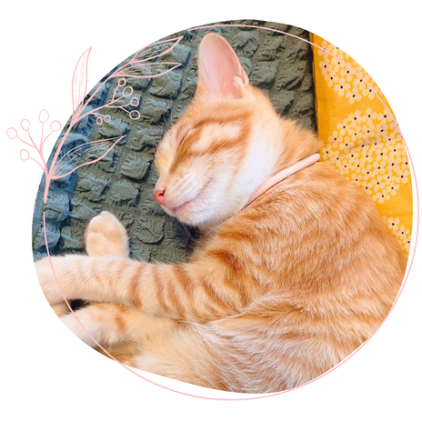 ワークマンで買ったシワにならない服の画像