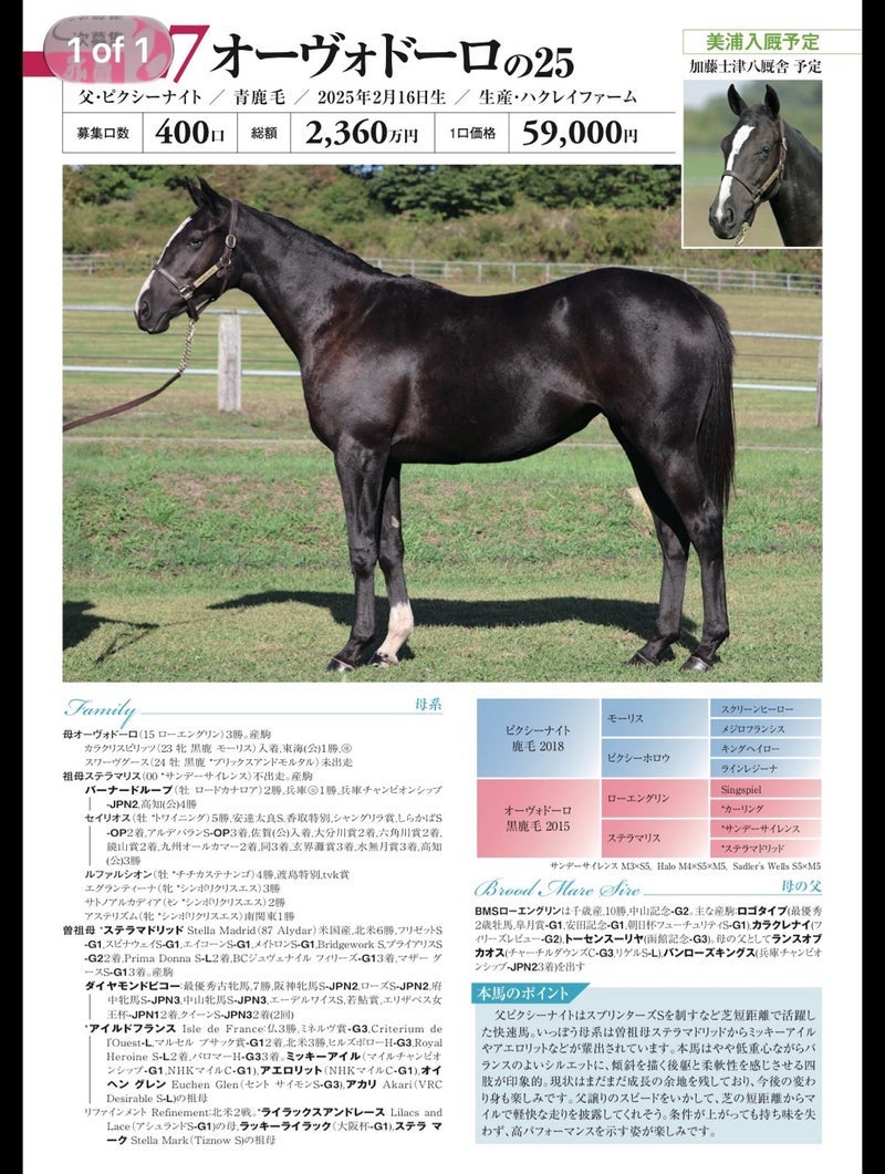 全部当たると懐が厳しい申込の馬の画像