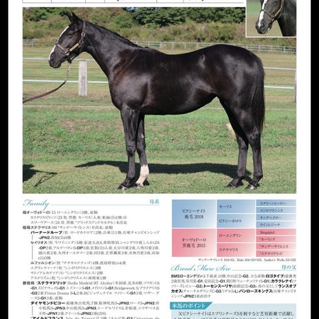 全部当たると懐が厳しい申込の馬の画像