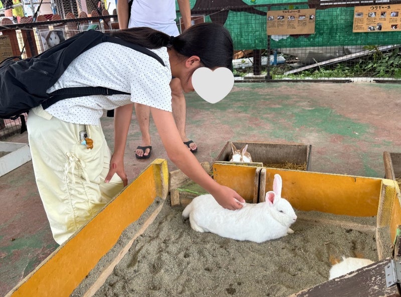 りんごを狙う猿から逃げ惑う長女の画像