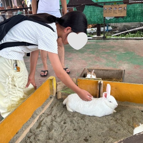 りんごを狙う猿から逃げ惑う長女の画像