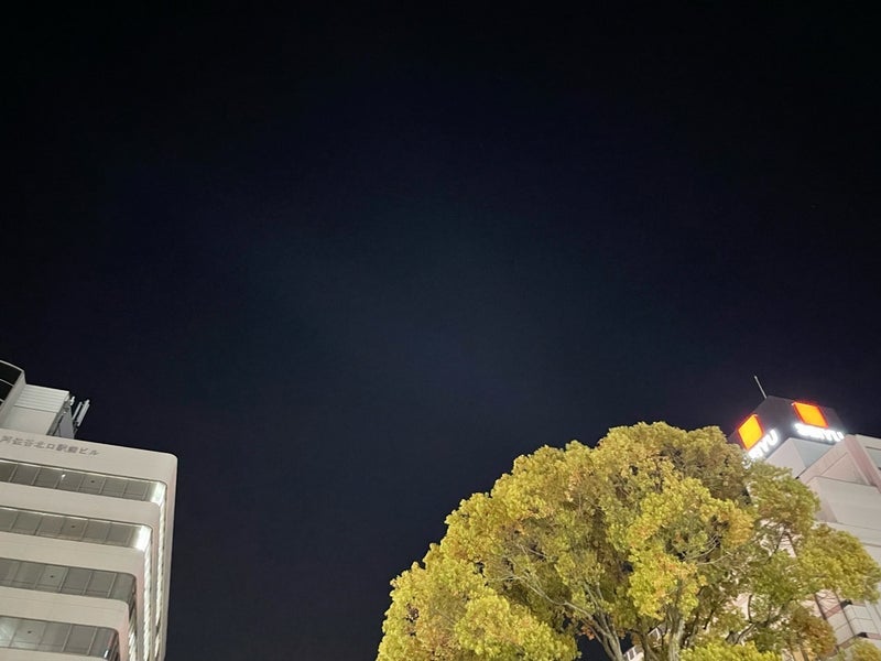 見かけた親子に重ねてしまった姿の画像