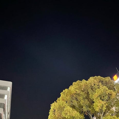 見かけた親子に重ねてしまった姿の画像