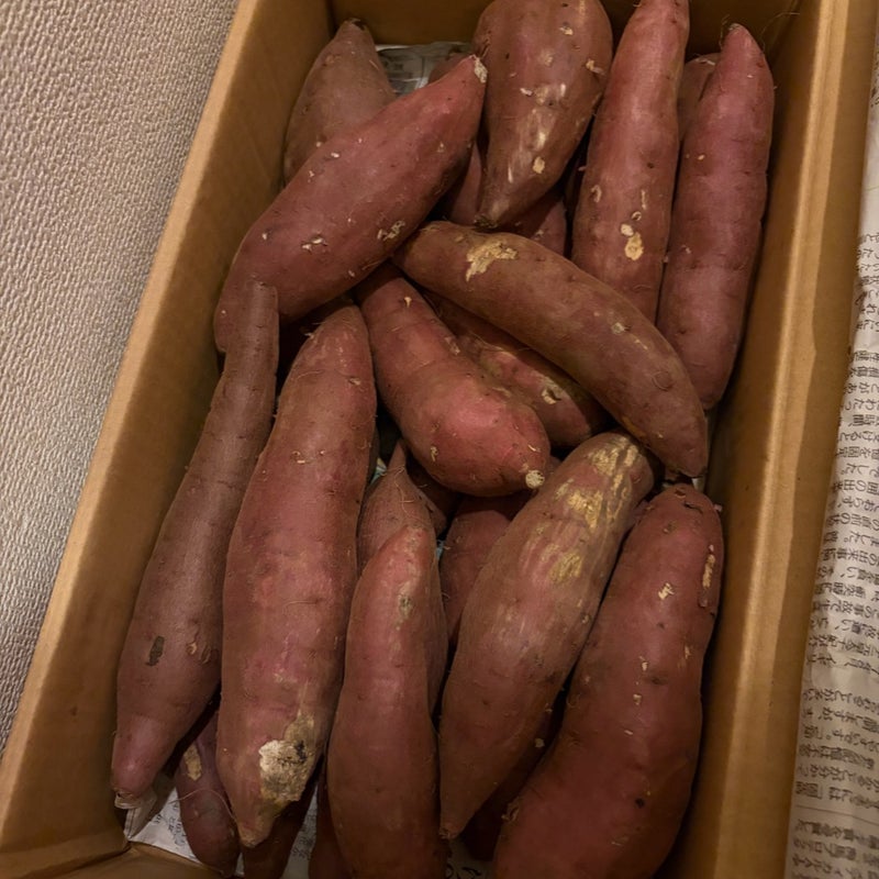2キロが一瞬で消えたさつまいもの画像