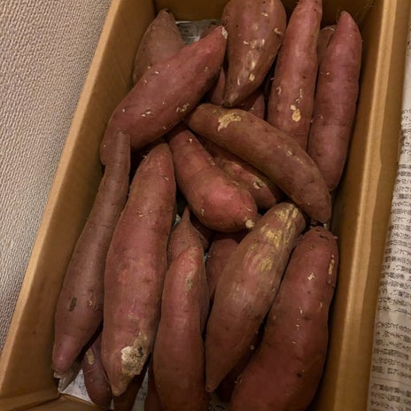 2キロが一瞬で消えたさつまいもの画像