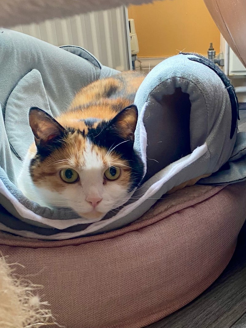 温泉に行きたい家族の勝手な本音の画像