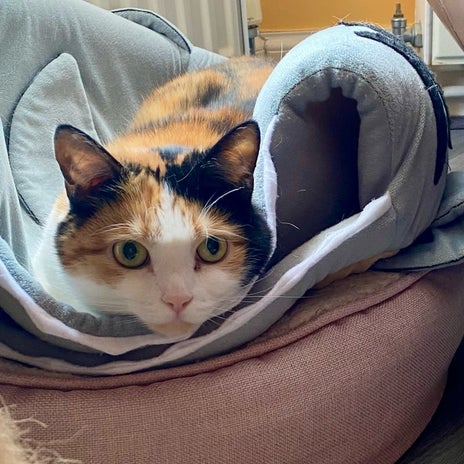 温泉に行きたい家族の勝手な本音の画像