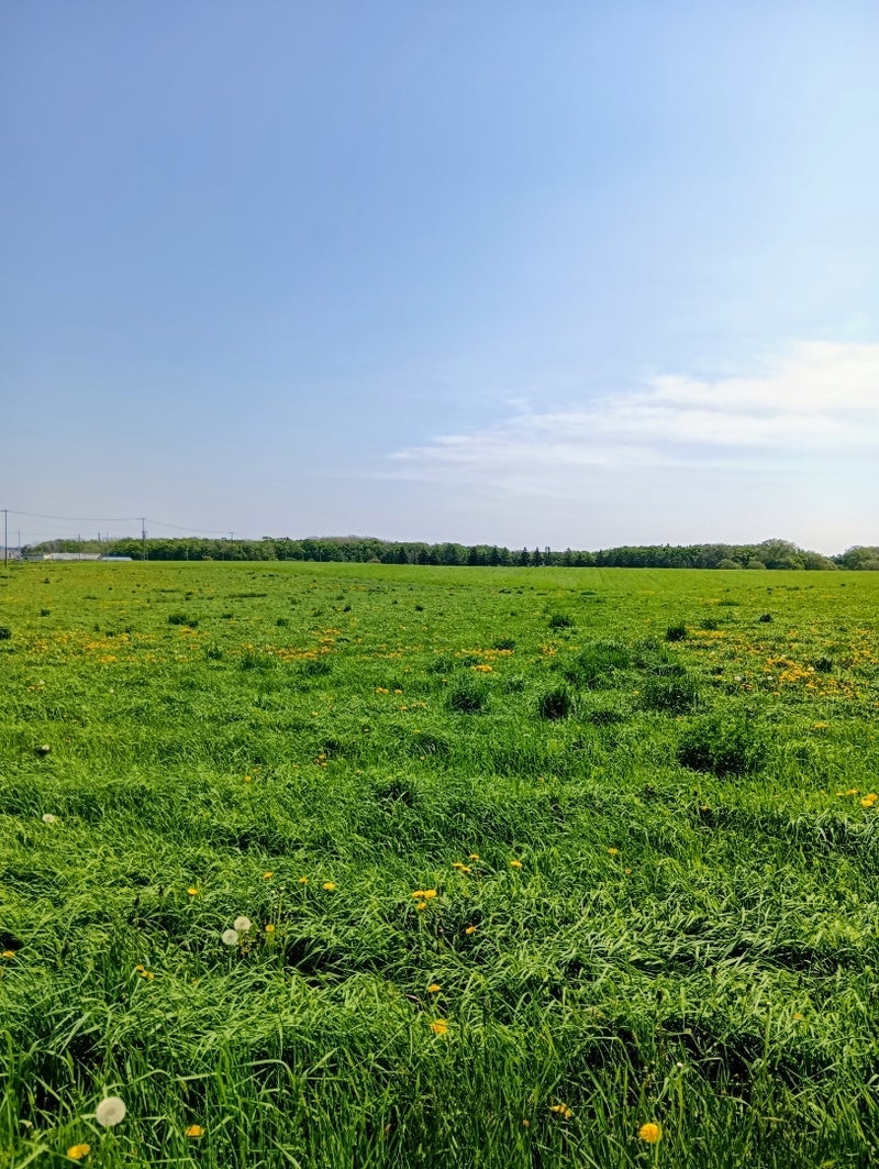 バス代をケチって得た自然の癒しの画像