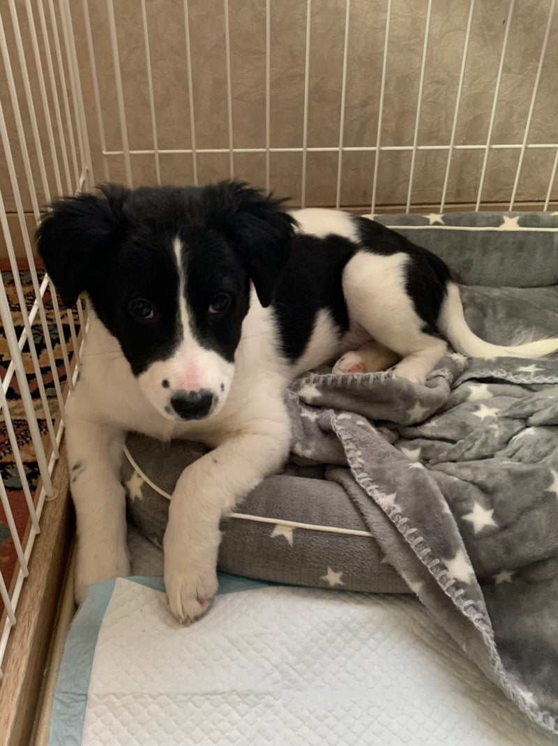 友人の死を知りショック受けた叔母の画像