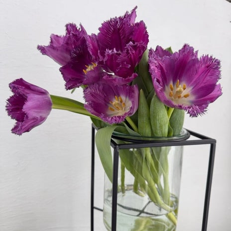 スキーの翌日の動きたくない疲労の画像