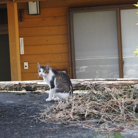 高齢の義母に商売をしてくる業者の画像