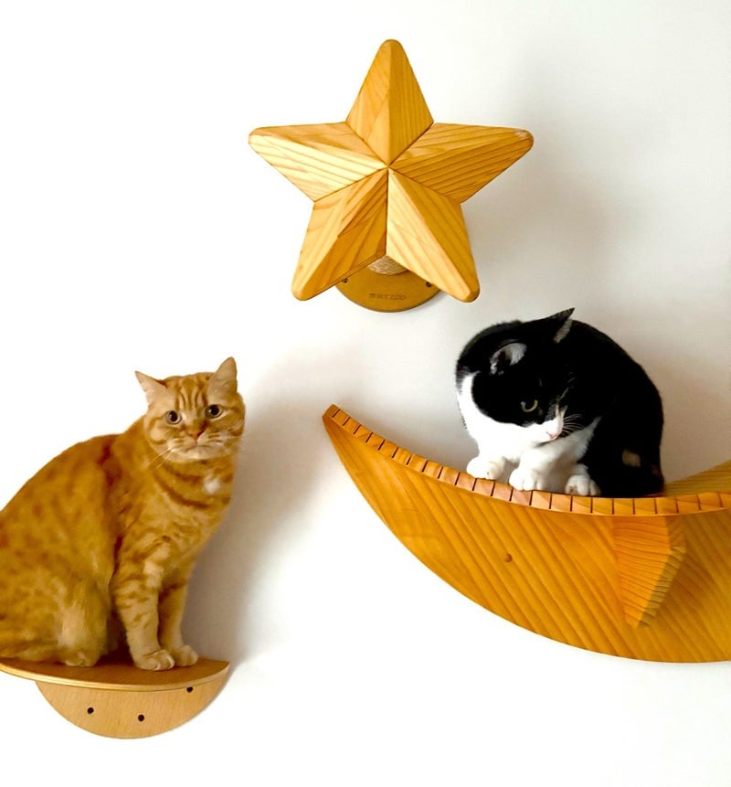 相手がどう思うかで揺るがない価値の画像