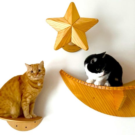 相手がどう思うかで揺るがない価値の画像