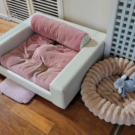 モト冬樹 愛犬がいない寂しい家の画像