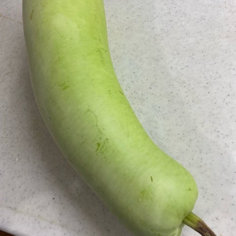 頂いたユウガオの熱くて美味しい汁の画像