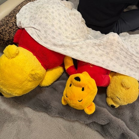 ディズニーで働きたいという8歳男児の画像