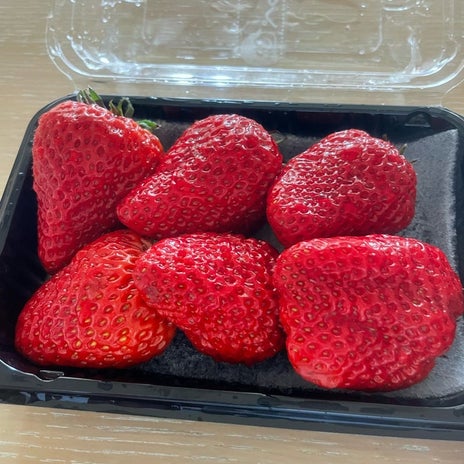 團十郎 朝食で頂いた大きな苺の画像