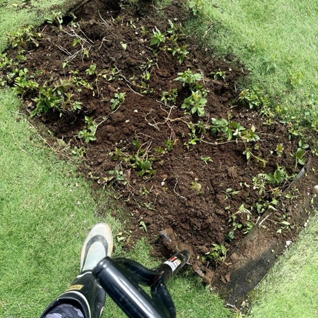 北斗晶 嬉しい孫の好きなTV番組の画像