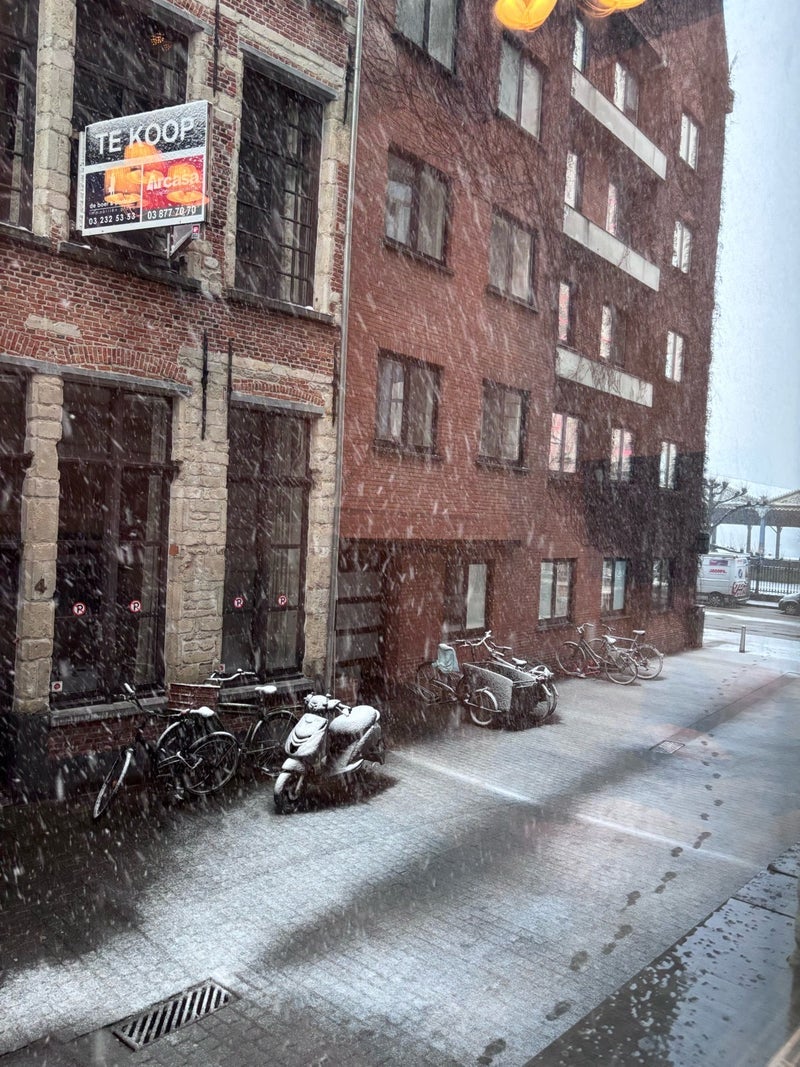 午後から雪が積もり始めた滞在先の画像